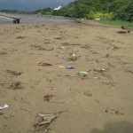 Debris washed on shore. Project AWARE actively supports cleaning up trash.