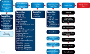 Stay at the top of your game with PADI Continuing Education