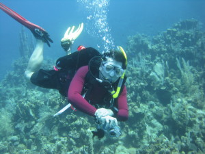 Learn about proper weighting and trim in Peak Performance Buoyancy