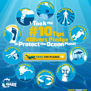 Project AWARE's #10Tips4Divers