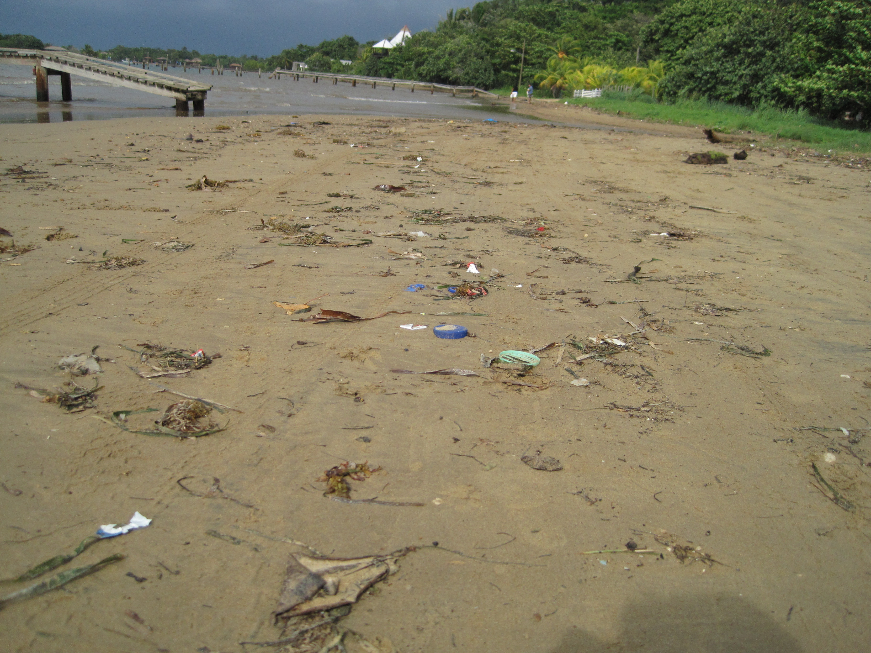 Debris washed on shore. Project AWARE actively supports cleaning up trash.